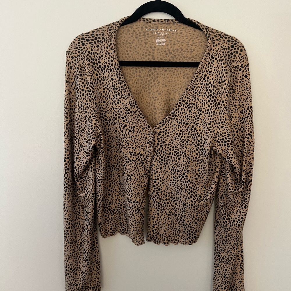 AE Cheetah Sweater